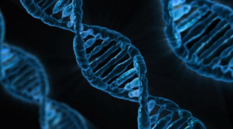 IVD and precision medicine have great potential, and these tracks may become future trends